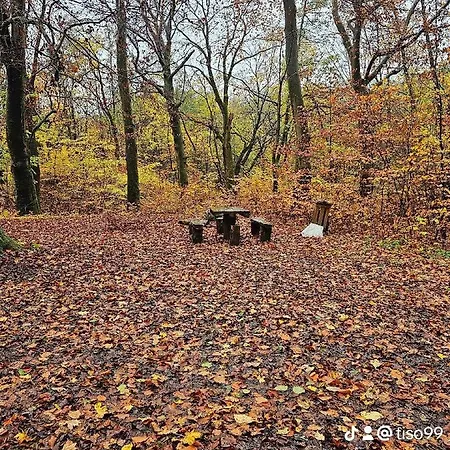 Urban Loft Διαμέρισμα Salgótarján