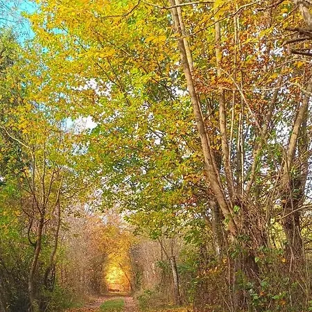 Urban Loft Διαμέρισμα