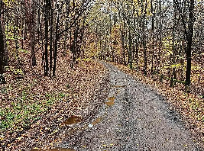 Urban Loft Apartment