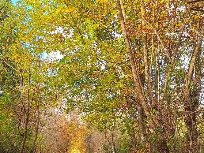 Urban Loft Apartment
